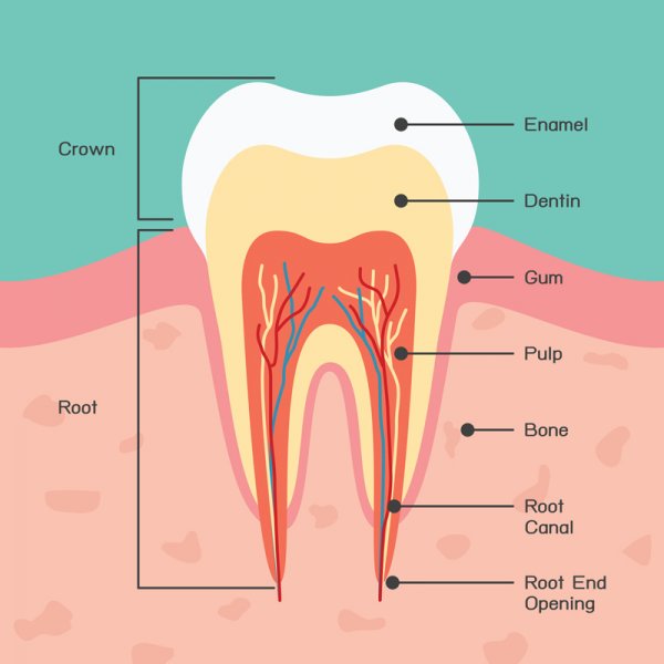 Cavity Fillings: Do They Hurt?