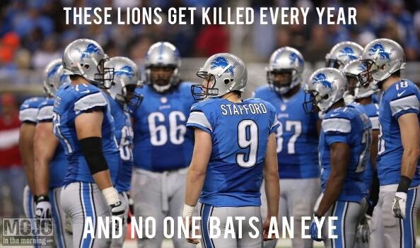 These Lions Get Killed Every Year