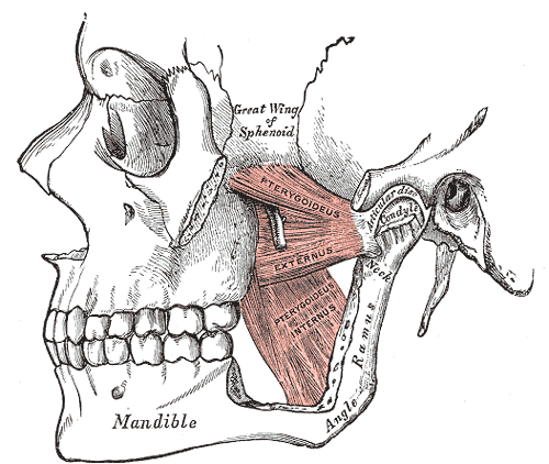 Temporomandibular joint dysfunction Illustration